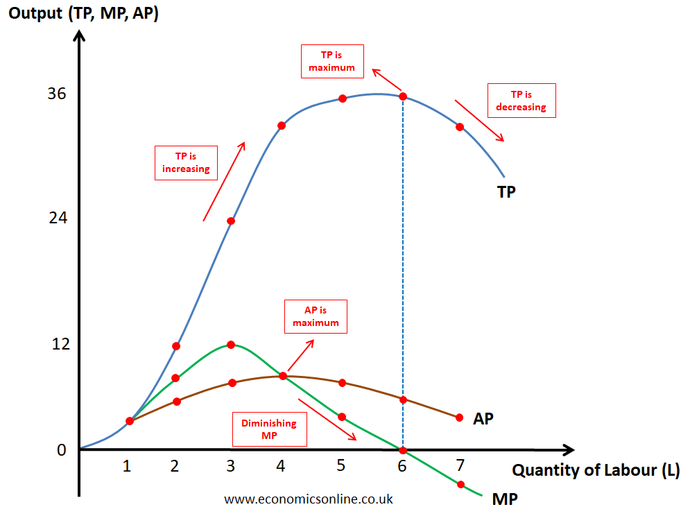 Visualization of a curve demonstrating law of diminishing returns
